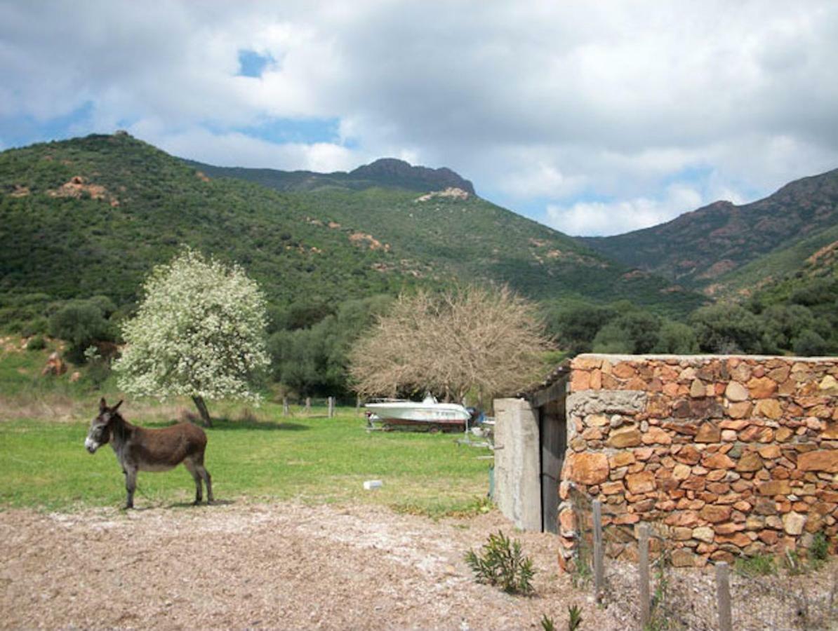 Maison De Vacances Renno Esterno foto